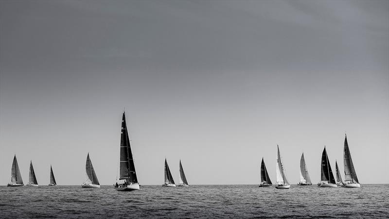 Sandberg PalmaVela - photo © María Muiña