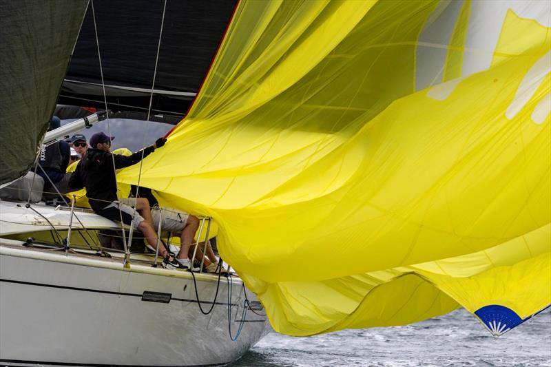 Kites away on Llama - 2026 Pantaenius Pittwater Regatta - photo © Andrea Francolini / RPAYC