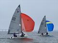 Osprey Scottish & Northern Tour at Royal Tay YC © Ian Hunter