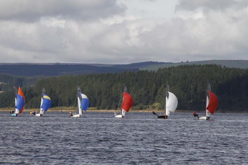 Ospreys at Kielder Water photo copyright Angela Mamwell taken at Kielder Water Sailing Club and featuring the Osprey class