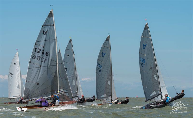 Isle of Sheppey Osprey Open photo copyright Chas Bedford taken at Isle of Sheppey Sailing Club and featuring the Osprey class