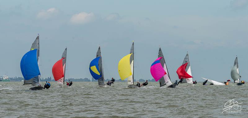 Isle of Sheppey Osprey Open photo copyright Chas Bedford taken at Isle of Sheppey Sailing Club and featuring the Osprey class