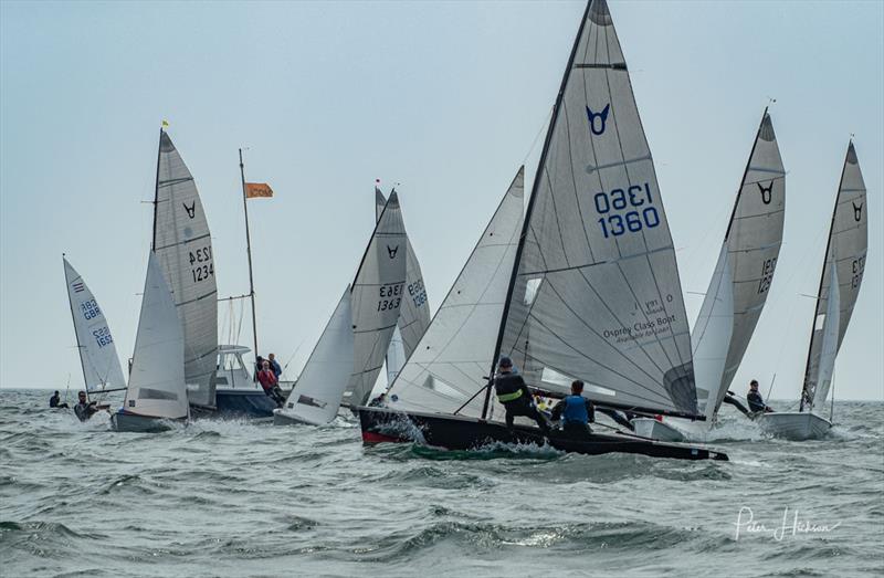 Pre-start manoeuvrers during the Osprey Open at Hayling Island photo copyright Peter Hickson taken at Hayling Island Sailing Club and featuring the Osprey class