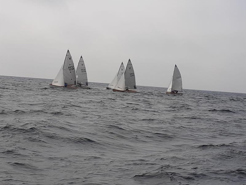 Osprey Open at Mount's Bay photo copyright Mikey Grieg taken at Mount's Bay Sailing Club, England and featuring the Osprey class