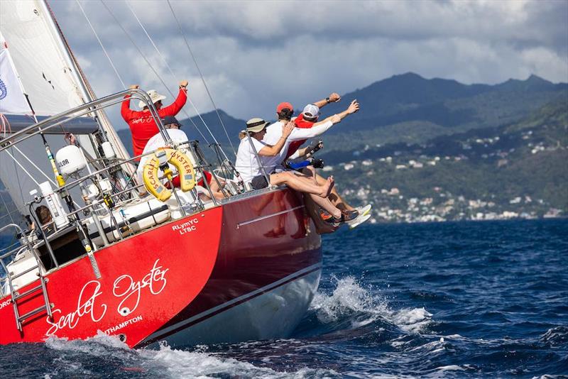 Almost snatching the RORC Transatlantic Race Trophy for the overall win - Ross Applebey's team on his Oyster 48 Scarlet Oyster photo copyright Arthur Daniel / RORC taken at Royal Ocean Racing Club and featuring the Oyster class