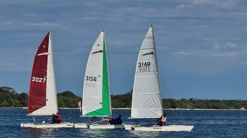 Southport YC to host 2020 Queensland Paper Tiger State Championship photo copyright Lori Clements taken at  and featuring the Paper Tiger class