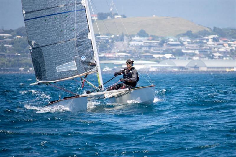 Napier's Hayden Percy took out the title - 2022 Paper Tiger Nationals - New Plymouth Yacht Club - January 2022 photo copyright New Plymouth Yacht Club taken at  and featuring the Paper Tiger class