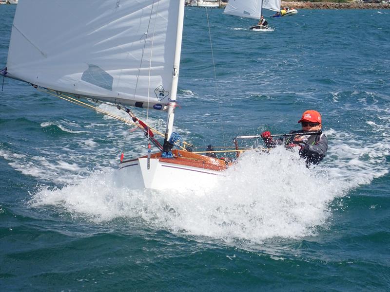 Sean Kensington - winner of the 2019 Tauranga Cup for P class - Evans Yacht & Motor Boat Club photo copyright Kohimaramara YC taken at Evans Bay Yacht & Motor Boat Club and featuring the P class class