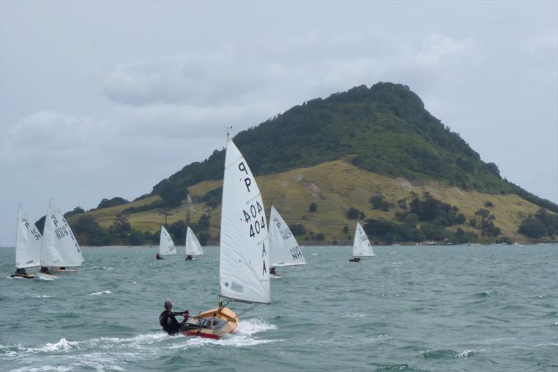 Tim Howse (404) - Day 1 - P class - Tauranga Cup - Tauranga Yacht and Power Boat Club - January 2019 photo copyright Tauranga Yacht and Power Boat Club taken at  and featuring the P class class