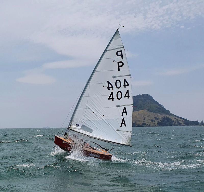 P Class Centenary: T Howse in P404 photo copyright Gary Smith taken at Tauranga Yacht & Powerboat Club and featuring the P class class