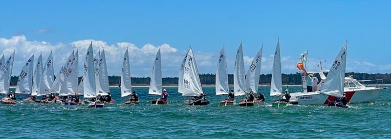 P class - 2024 Tauranga Cup, January 8, 2024, Tauranga - photo © Gary Smith