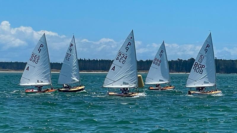 P class - 2024 Tauranga Cup, January 8, 2024, Tauranga photo copyright Gary Smith taken at Tauranga Yacht & Powerboat Club and featuring the P class class