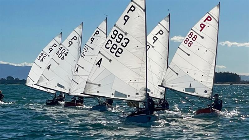 Wihau Shield - P class - 2024 Tauranga Cup, May 4, 2024, Tauranga photo copyright Gary Smith taken at Tauranga Yacht & Powerboat Club and featuring the P class class