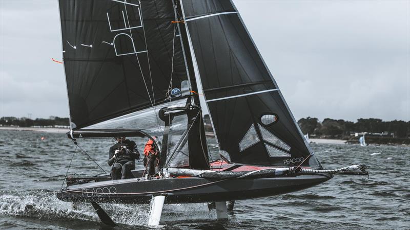 Peacoq the Flying Monohull photo copyright Peacoq taken at  and featuring the Peacoq class