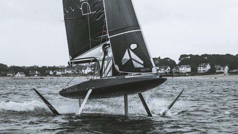 Peacoq the Flying Monohull photo copyright Peacoq taken at  and featuring the Peacoq class