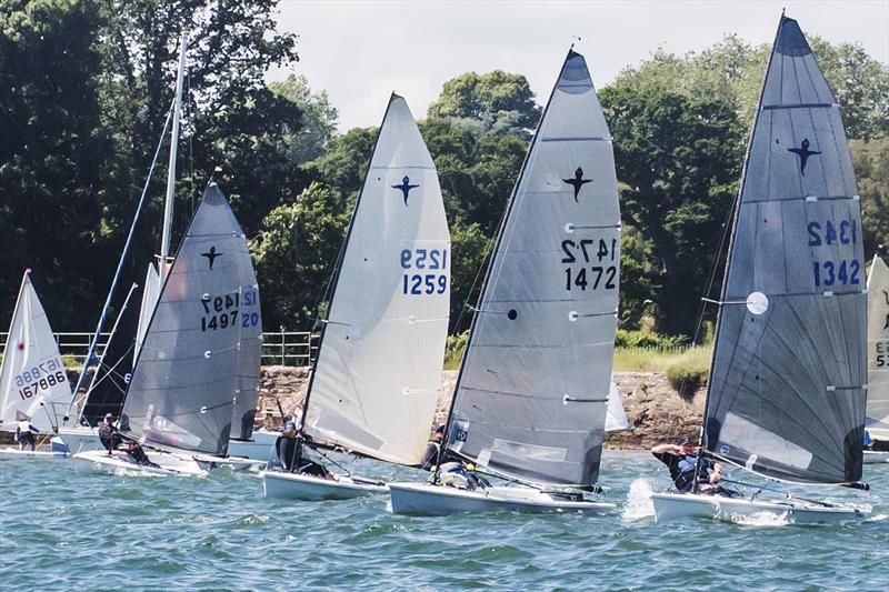 Startline during the CoastWaterSports Starcross Phantom  photo copyright Richard Fryer taken at Starcross Yacht Club and featuring the Phantom class