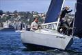 San Diego Yacht Club Hot Rum Series Race 2 © Bob Betancourt