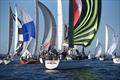 San Diego Yacht Club Hot Rum Series Race 2 © Bob Betancourt