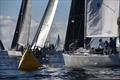 San Diego Yacht Club Hot Rum Series Race 2 © Bob Betancourt