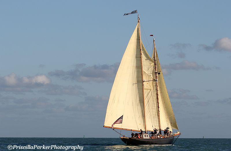 Conch Republic Cup 2017 photo copyright Priscilla Parker taken at Key West Community Sailing Center and featuring the PHRF class