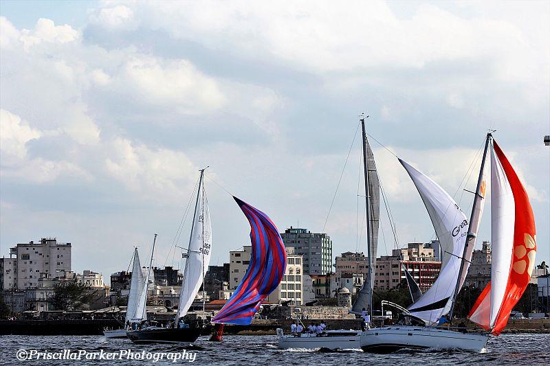 Conch Republic Cup 2017 - photo © Priscilla Parker