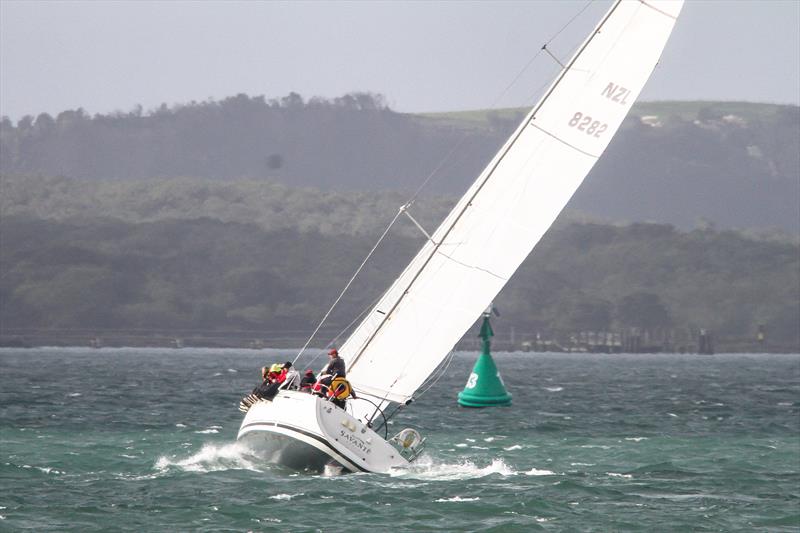 Club Marine Winter Series - Waitemata Harbour - June 27, 2020 - photo © Richard Gladwell / Sail-World.com