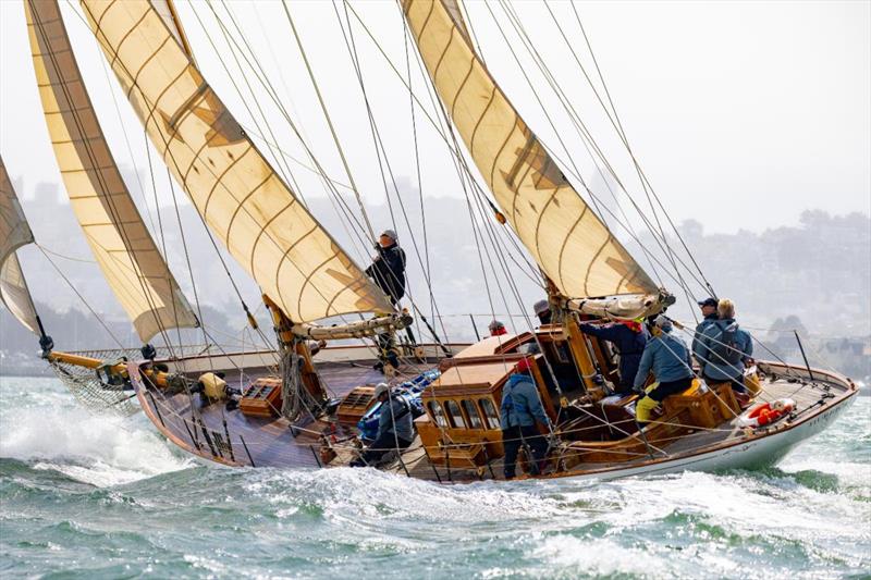 2021 Rolex Big Boat Series day 3 photo copyright Sharon Green / Rolex taken at St. Francis Yacht Club and featuring the PHRF class