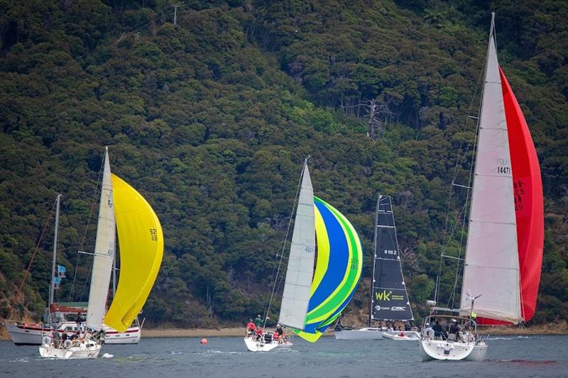 Big colour - Waikawa New Year Regatta 2021 photo copyright Karmyn Ingram taken at Waikawa Boating Club and featuring the PHRF class