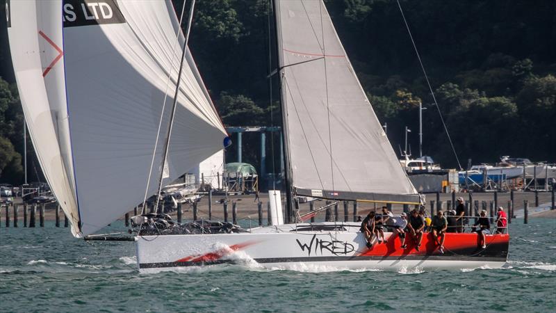 TP52 Wired - Doyle Sails Evening Race - Royal New Zealand Yacht Squadron, January 19, 2021 photo copyright Richard Gladwell - Sail-World.com/nz taken at Royal New Zealand Yacht Squadron and featuring the PHRF class