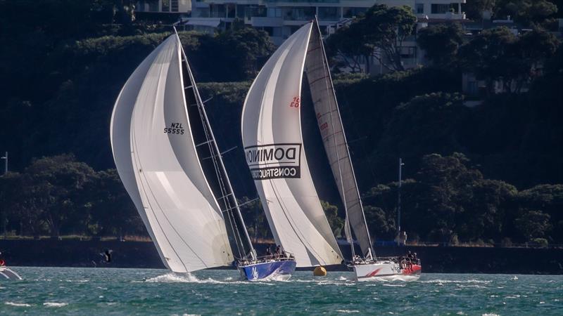 TP52's V5 and Wired - Doyle Sails Evening Race - Royal New Zealand Yacht Squadron, January 19, 2021 - photo © Richard Gladwell - Sail-World.com/nz