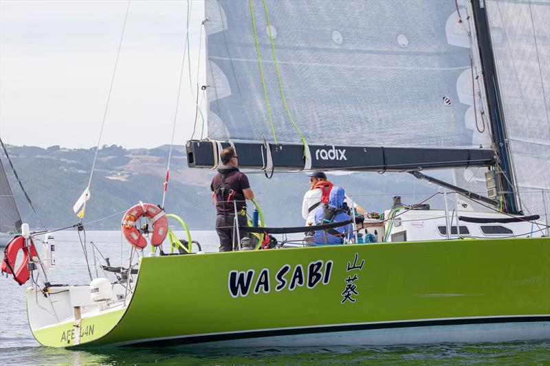 Wasabi - Central Triangle Race - March 2022 photo copyright Katie Hakes taken at Royal Port Nicholson Yacht Club and featuring the PHRF class