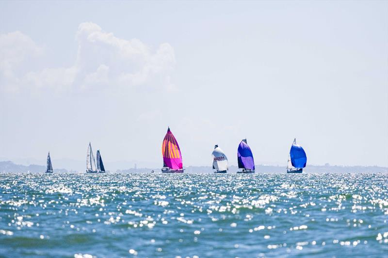  PIC Harbour Classic, Waitemata Harbour,  March 21, 2026 photo copyright Marcus Brummel / Live Sail Die taken at New Zealand Multihull Yacht Club and featuring the PHRF class