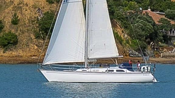 Robbery - Wilson 36 - Solo Trans-Tasman Yacht Challenge - May 2026 photo copyright Graeme Francis  taken at New Plymouth Yacht Club and featuring the PHRF class