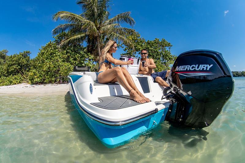 Bayliner Element M17 - photo © Bayliner