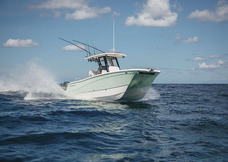 260CC-X - photo © World Cat Boats