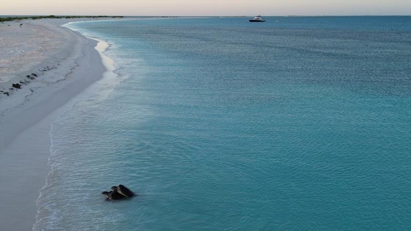 A picnic on Turtle Island where the sand is soft and the water is crystal clear photo copyright Riviera Australia taken at  and featuring the Power boat class
