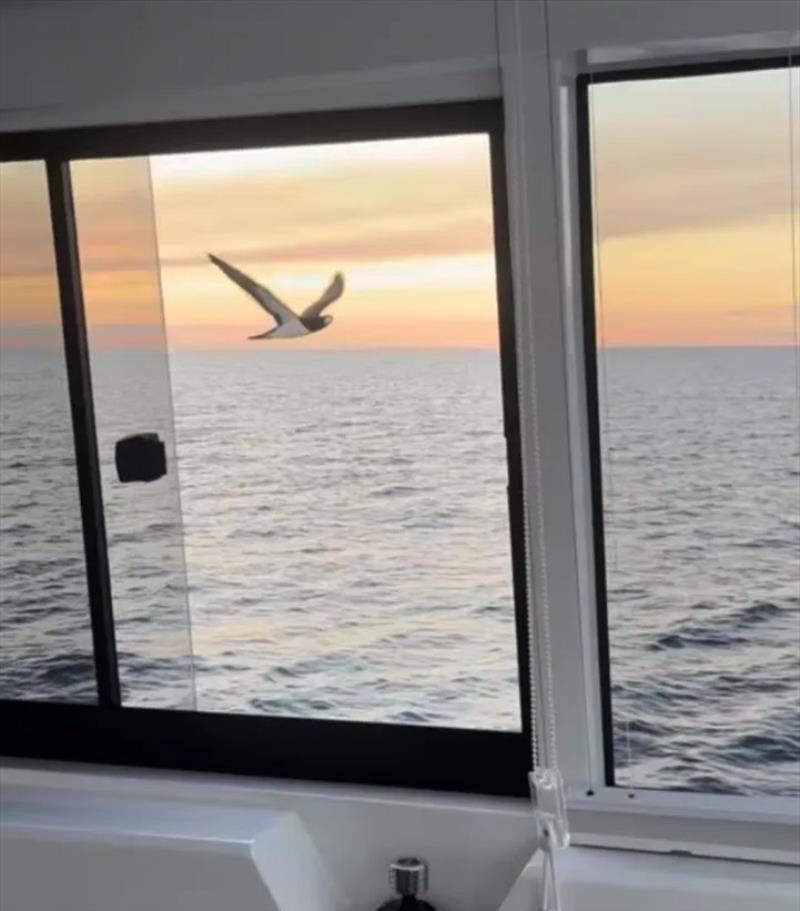 Australia to Nouméa aboard an Iliad 62 photo copyright ILIAD Catamarans taken at  and featuring the Power Cat class