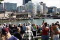 Jono Ridler completing his 1367km swim - Wellington - April 4, 2026 &copy; Joshua Mccormack/LiveOcean