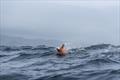 Jono Ridler - Swim4TheOcean - April 2026 &copy; Joshua McCormack