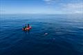 Jono Ridler - Swim4TheOcean - April 2026 &copy; Joshua McCormack