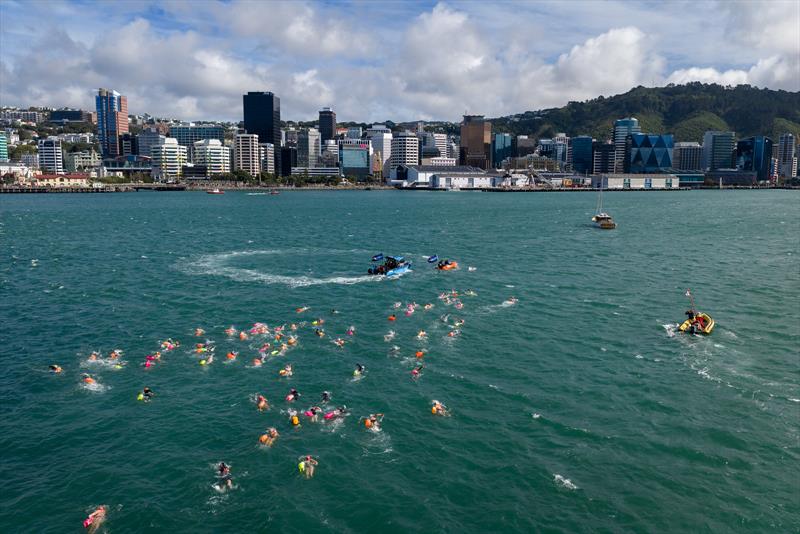 Jono Ridler completing his 1367km swim - Wellington - April 4, 2026 photo copyright Joshua Mccormack/LiveOcean taken at Royal Port Nicholson Yacht Club and featuring the  class