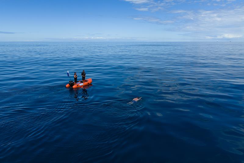 Jono Ridler - Swim4TheOcean - April 2026 - photo © Joshua McCormack