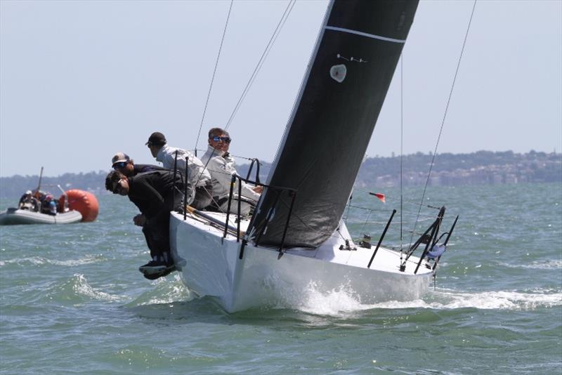 Sam Laidlaw's Aguila have won the Quarter Ton Cup for the last two years photo copyright Fiona Brown taken at  and featuring the Quarter Tonner class