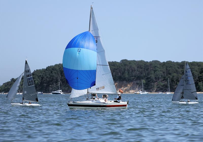 R19 12 Ricochet on Sunday at the International Paint Poole Regatta 2026 photo copyright Mark Jardine taken at Parkstone Yacht Club and featuring the R19 class