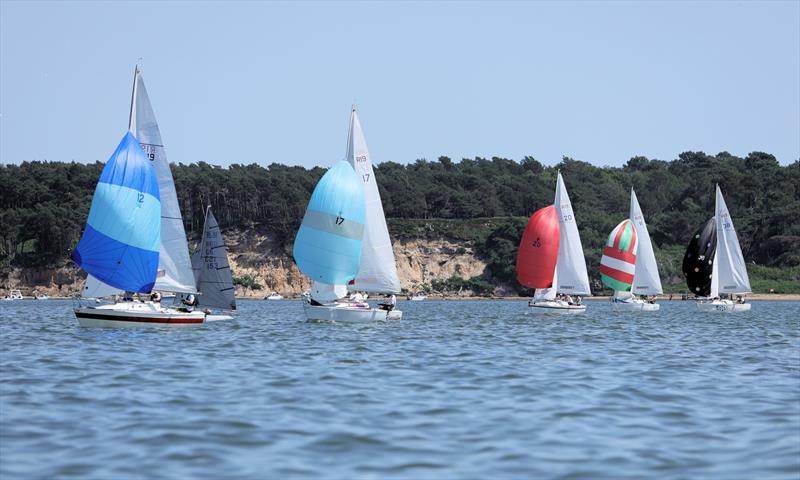 R19 fleet downwind on Sunday at the International Paint Poole Regatta 2026 - photo © Mark Jardine
