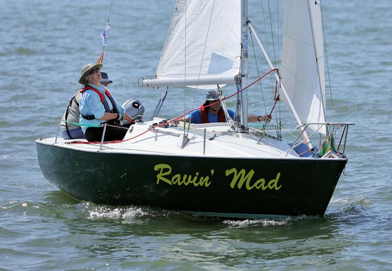 R19 24 Ravin' Mad on Sunday at the International Paint Poole Regatta 2026 photo copyright Mark Jardine taken at Parkstone Yacht Club and featuring the R19 class