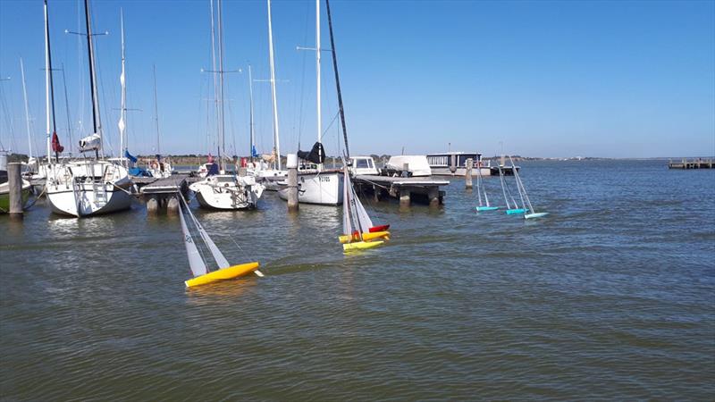 A total of nine boats raced in the event as part of Goolwa Regatta Week 2019 photo copyright Louise Edwards taken at Goolwa Regatta Yacht Club and featuring the Radio Sailing class