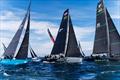 © Nico Martinez / 44Cup