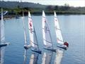 RC Laser Winter Series event 7 at Medway