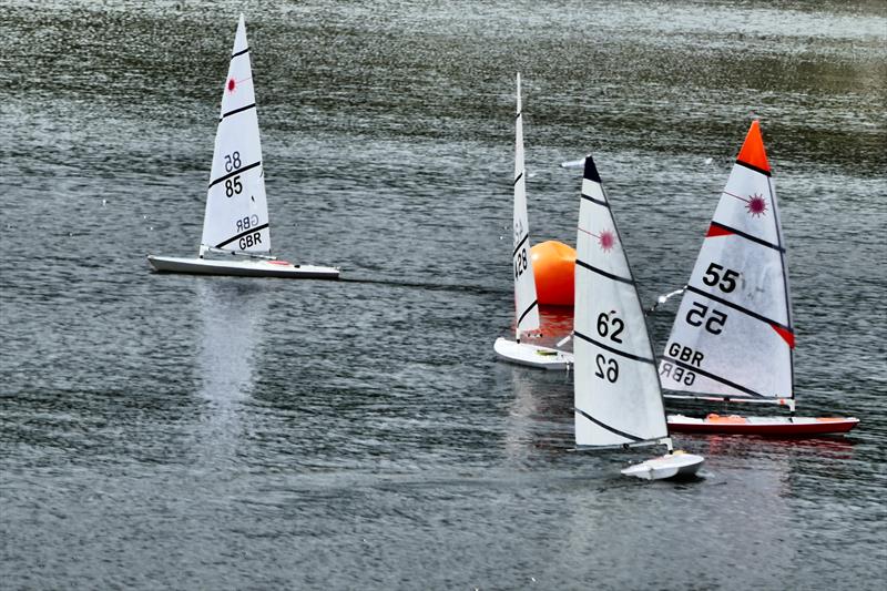 RC Laser Northern Series at Burwain lake photo copyright Susan Sharman taken at Burwain Sailing Club and featuring the RC Laser class